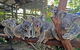 2-Day Green Island Cruise And Kuranda Day Trip - thumb 6