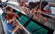 Great Barrier Reef Tour With Indigenous Sea Rangers-Dreamtime Dive And Snorkel - thumb 4