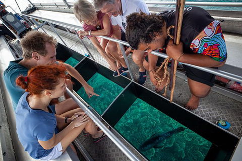 Great Barrier Reef Tour With Indigenous Sea Rangers-Dreamtime Dive And Snorkel - Taree Accommodation 4