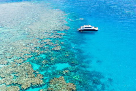 Great Barrier Reef Tour With Indigenous Sea Rangers-Dreamtime Dive And Snorkel - Taree Accommodation 3