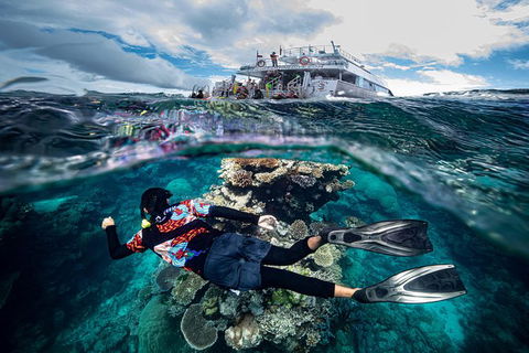 Great Barrier Reef Tour With Indigenous Sea Rangers-Dreamtime Dive And Snorkel - Taree Accommodation 7