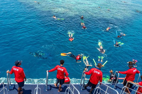 Great Barrier Reef Tour With Indigenous Sea Rangers-Dreamtime Dive And Snorkel - Taree Accommodation 2