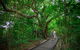 Green Island Eco Adventure From Cairns - thumb 2