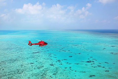 Ultimate Great Barrier Reef And Rainforest 45-minute Helicopter Tour - Taree Accommodation 4