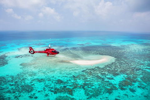 Ultimate Great Barrier Reef And Rainforest 45-minute Helicopter Tour - Taree Accommodation 0