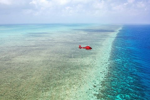 Ultimate Great Barrier Reef And Rainforest 45-minute Helicopter Tour - Taree Accommodation 5