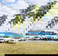 Airport Transfers between Cairns Airport and Cairns City - Taree Accommodation