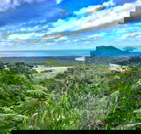 Private Daintree National Park Day Tour from Cairns Including Cape Tribulation and Mossman Gorge - Taree Accommodation