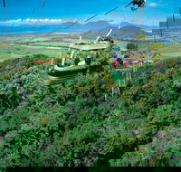 Skyrail Rainforest Cableway Day Trip from Cairns - Taree Accommodation