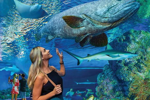 Cairns Aquarium Family Tickets - Taree Accommodation 0