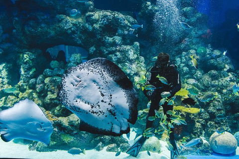 Cairns Aquarium Family Tickets - Taree Accommodation 2