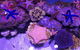 Cairns Aquarium Family Tickets - thumb 4