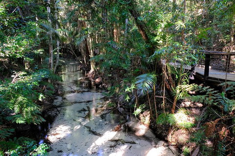 Fraser Island 4WD Tour From Rainbow Beach - Taree Accommodation 5