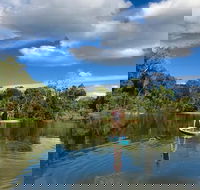 Kuranda Rainforest Paddleboarding Adventure Tour - Taree Accommodation