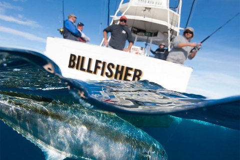 Full Day Fishing Charter Airlie Beach Whitsundays - Taree Accommodation 2