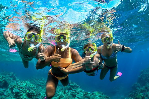 Full Day Reef Cruise Including 10 Minute Heli Scenic Flight: Get High Package - Taree Accommodation 6