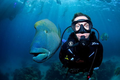 Full Day Reef Cruise Including 10 Minute Heli Scenic Flight: Get High Package - Taree Accommodation 11