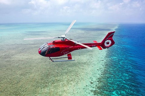 Full Day Reef Cruise Including 10 Minute Heli Scenic Flight: Get High Package - Taree Accommodation 7