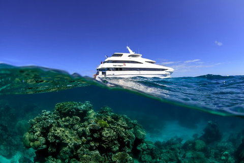 Full Day Reef Cruise Including 10 Minute Heli Scenic Flight: Get High Package - Taree Accommodation 12