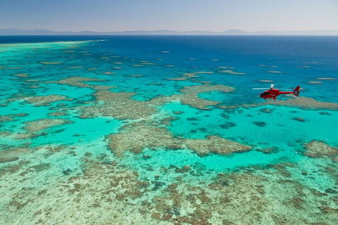 Full Day Reef Cruise Including 10 Minute Heli Scenic Flight: Get High Package - Taree Accommodation 1
