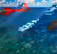 Full Day Reef Cruise Including 10 Minute Heli Scenic Flight Get High Package - Taree Accommodation