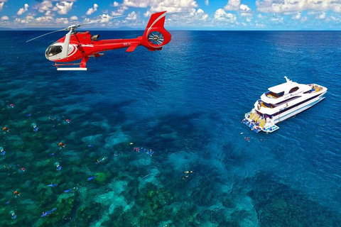 Full Day Reef Cruise Including 10 Minute Heli Scenic Flight: Get High Package - Taree Accommodation 0