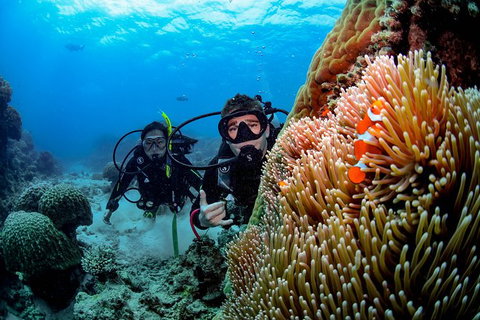 Full Day Reef Cruise Including 10 Minute Heli Scenic Flight: Get High Package - Taree Accommodation 2