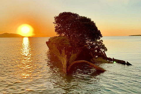 Aquascene Magnetic Island Sunset & Shipwreck Tour - Taree Accommodation 3