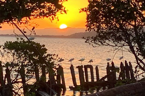 Aquascene Magnetic Island Sunset & Shipwreck Tour - Taree Accommodation 2