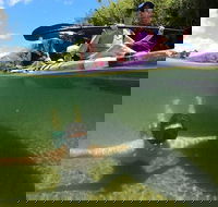 Babinda Half Day or Full Day Self-Guided Kayaking Experience - Taree Accommodation