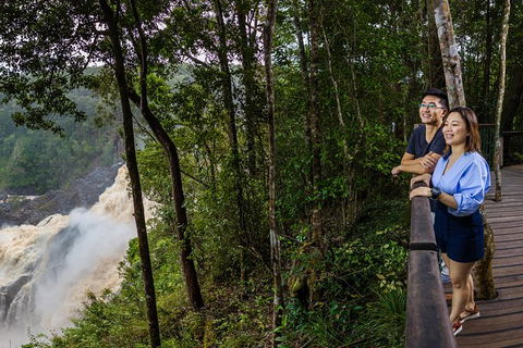 Kuranda Day Tour,TKS- Budget 930 - Taree Accommodation 3
