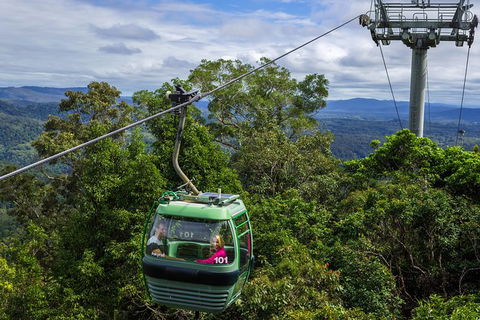 Kuranda Day Tour,TKS- Budget 930 - Taree Accommodation 1