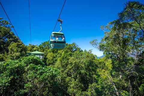 Kuranda Day Tour,TKS- Budget 930 - Taree Accommodation 4