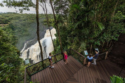 Kuranda Day Tour,TKS- Budget 930 - Taree Accommodation 7
