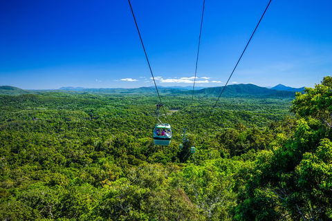 Kuranda Day Tour,TKS- Budget 930 - Taree Accommodation 5