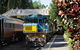 Kuranda Day Tour,TKS- Budget 930 - thumb 2