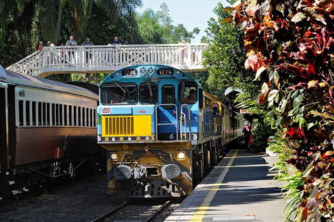 Kuranda Day Tour,TKS- Budget 930 - Taree Accommodation 2