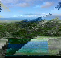 Daintree Luxury Limousine Tour - Full Day - Taree Accommodation