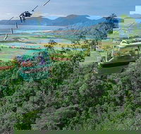 Kuranda Day Tour TKS-RFS GRAND GOLD PLUS 0930 - Taree Accommodation