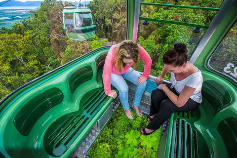 Kuranda Day Tour, TKS-RFS GRAND GOLD PLUS 0930 - Taree Accommodation 1
