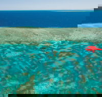 Cruise to Outer Reef - Cruise Return Plus 10 Minute Scenic Flight - Taree Accommodation