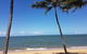 Private Transfers Cairns Airport To Port Douglas - thumb 8