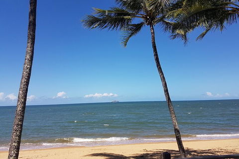 Private Transfers Cairns Airport To Port Douglas - Taree Accommodation 8