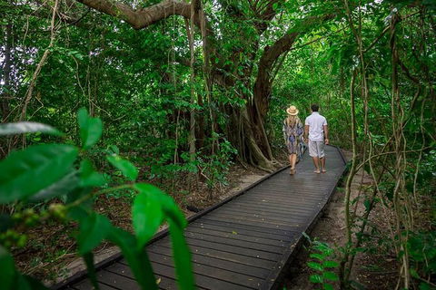 Cairns Pullman Cairns International 5 Nights Package Combo - Taree Accommodation 7