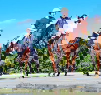 Mid-Morning Beach Horse Ride in Cape Tribulation with Pick Up - Taree Accommodation