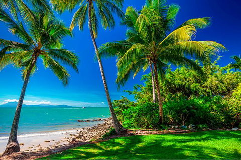 SHUTTLE - Port Douglas And Craiglie Return Transfer - Taree Accommodation 2