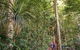 Rainforest & Nocturnal Wildlife Tour - thumb 5
