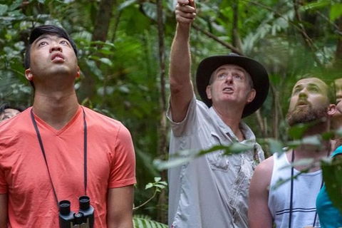 Rainforest & Nocturnal Wildlife Tour - Taree Accommodation 2