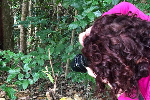 Let\'s Go Buggin & Let\'s Go Shroomin - Photography & Nature Walking Tours - Taree Accommodation 8