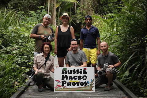Let\'s Go Buggin & Let\'s Go Shroomin - Photography & Nature Walking Tours - Taree Accommodation 11